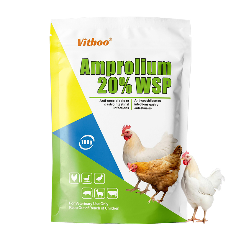 Suplemento vitamínico líquido para engorda de aves, solução oral, estimulador de crescimento para frangos