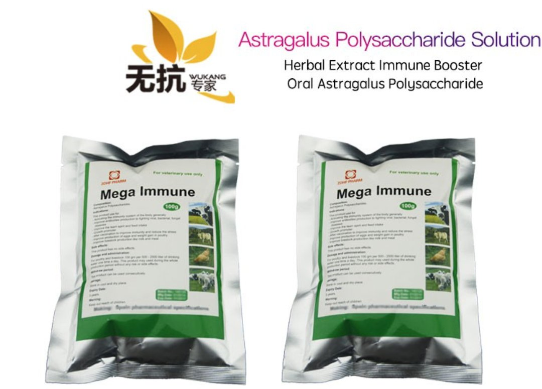 Acelerador de Crescimento de Aves / Melhorador de Produção de Ovos de Aves / Impulsor Herbal Imunológico