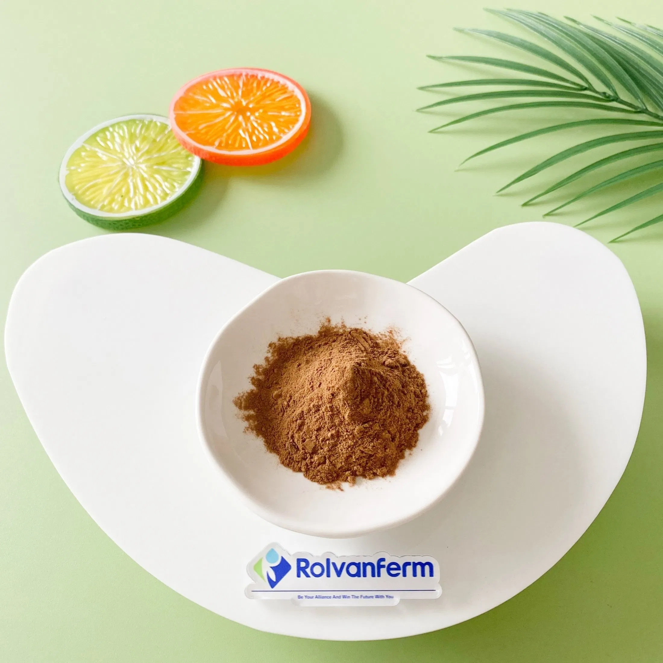 Extrato de Erigeron Breviscapus, Extrato Botânico Natural Dengzhanhua para Suplementos Nutricionais e Produtos de Bem-Estar Herbal
