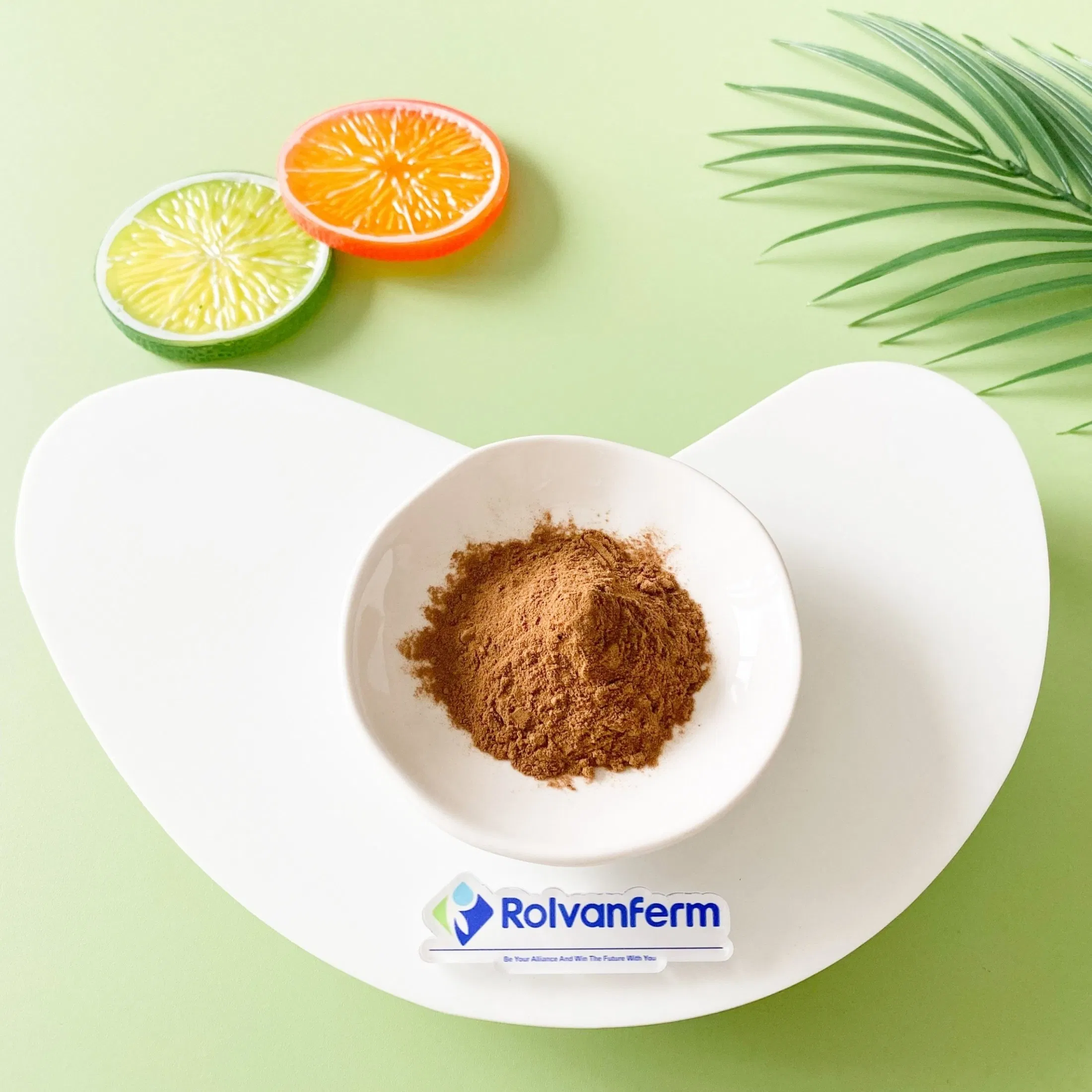 Extrato de Erigeron Breviscapus, Extrato Botânico Natural Dengzhanhua para Suplementos Nutricionais e Produtos de Bem-Estar Herbal