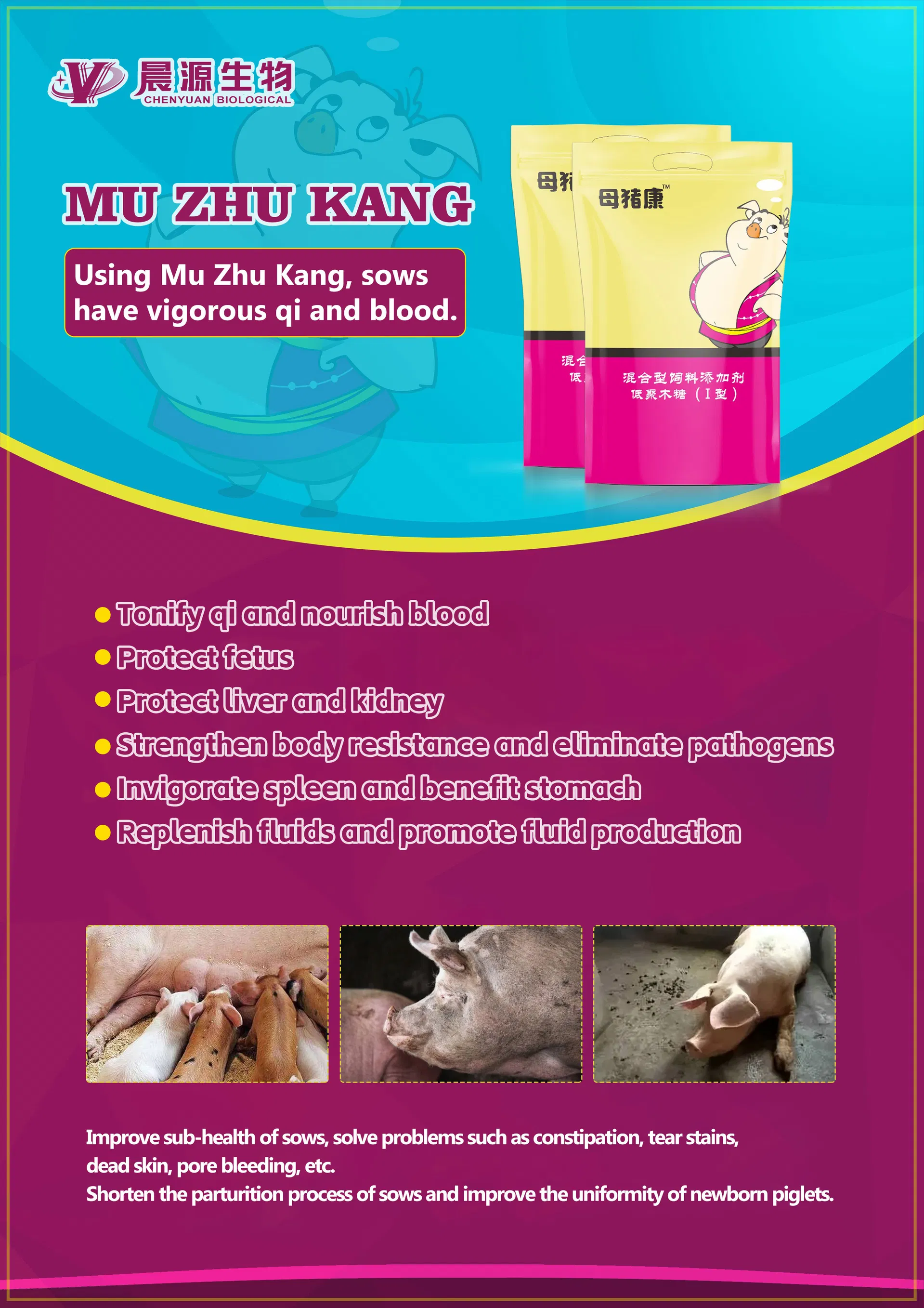 Aditivo Herbal Muzhukang para Porcas