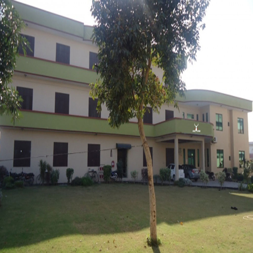 Company Image 2