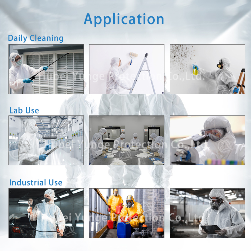 Application Scenario 2
