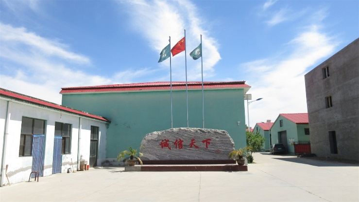Company Area 1