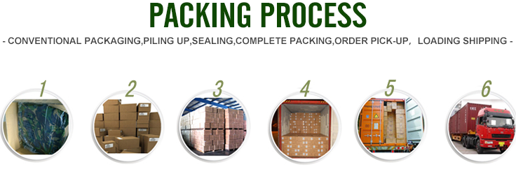 Packaging and Shipping details