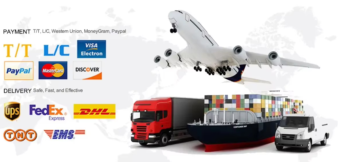 Payment and Shipping details