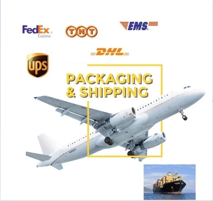 Loading and Delivery