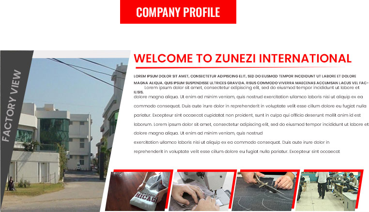 Company Profile 1