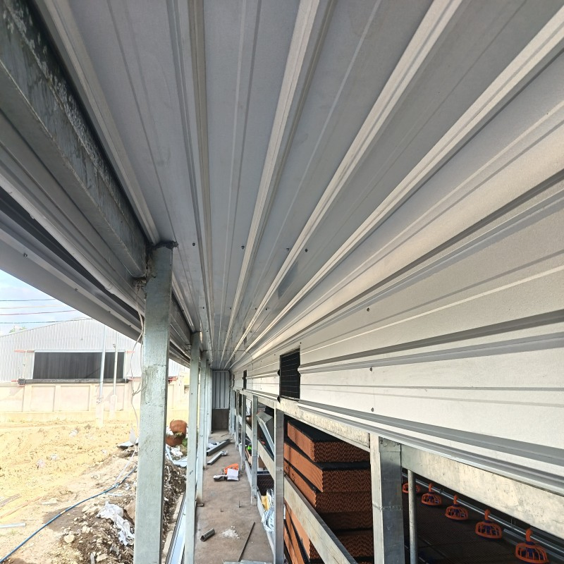 Hot Climate Poultry House with Insulated Sandwich Panels for Oman Broiler Farm Solutions