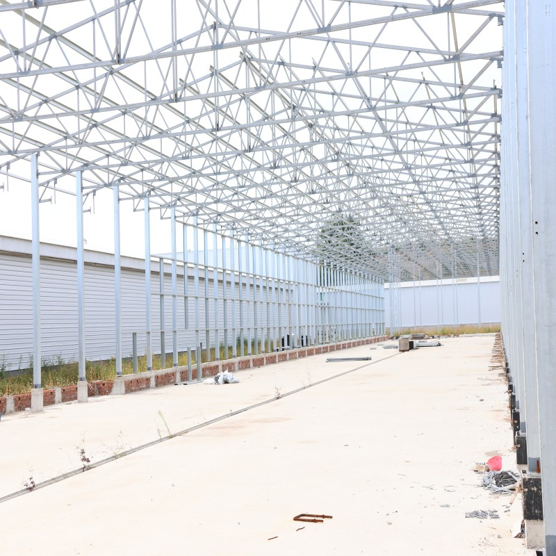 Insulated Steel Chicken House Designed for Ghana's Climate Corrosion-Proof and Long-Lasting