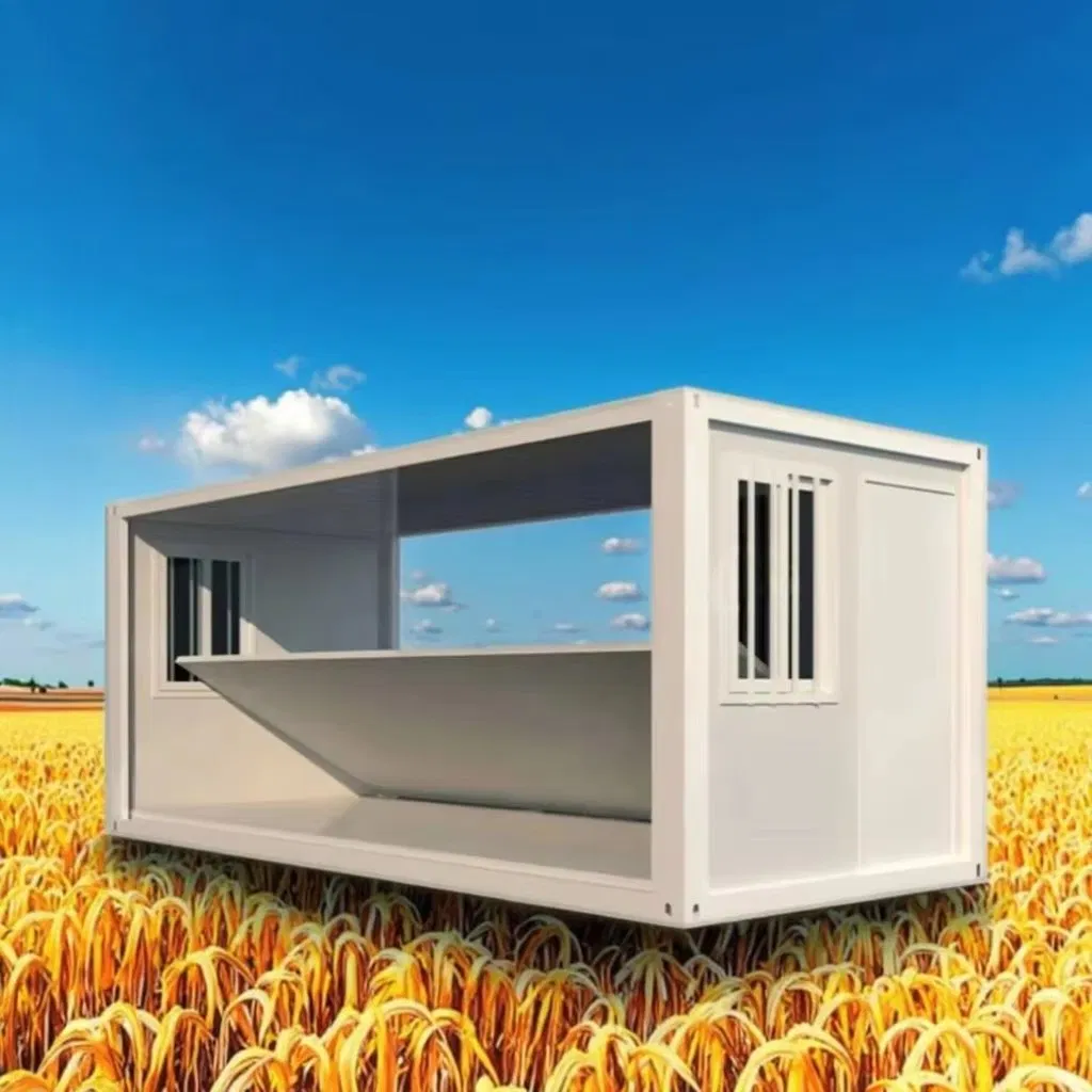 Quickly Build Mobile Home Container House Steel Structure Warehouse for Disaster Relief Shelter