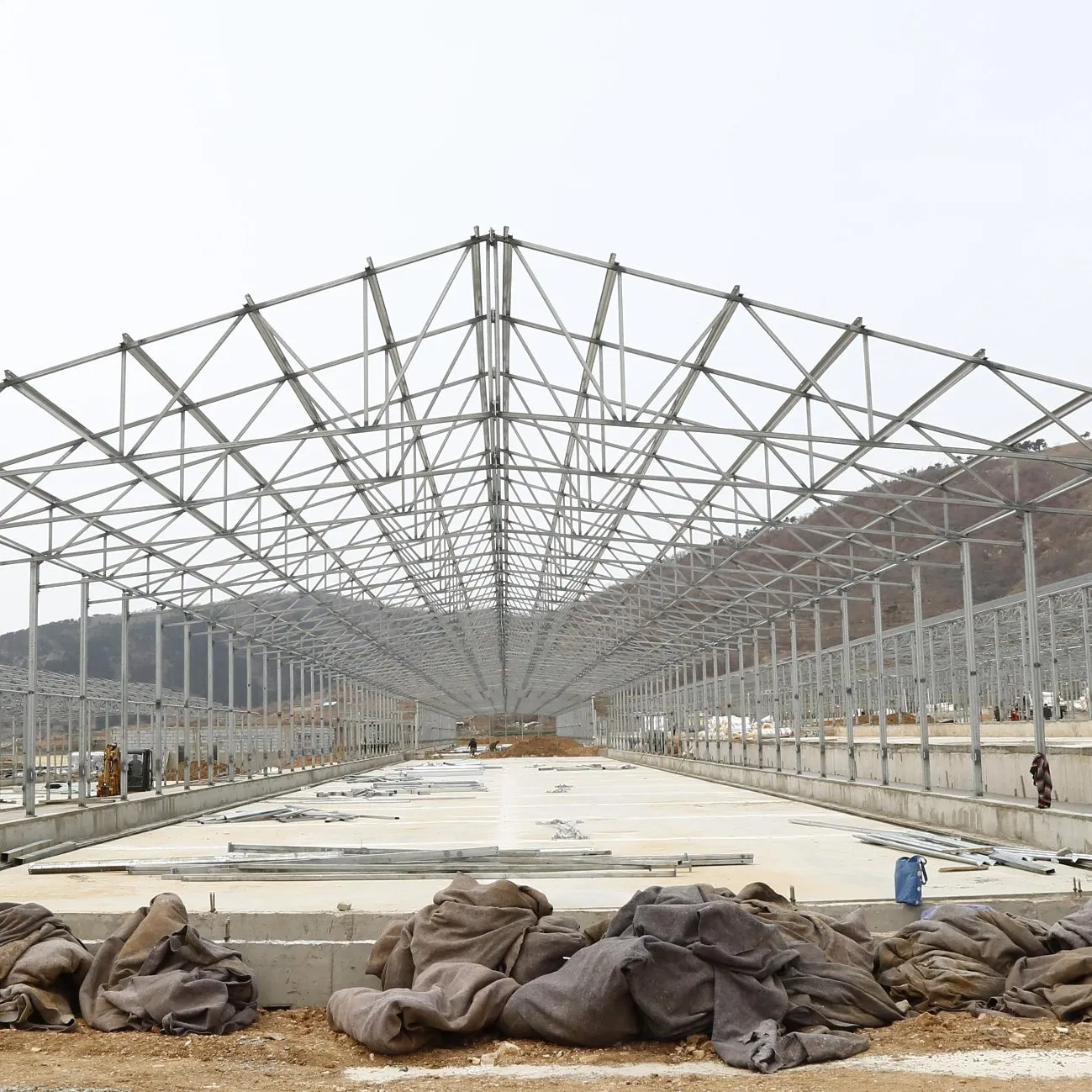 Hot Climate Poultry House with Insulated Sandwich Panels for Oman Broiler Farm Solutions