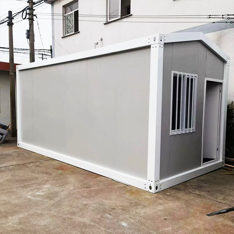 Wholesale Custom 20FT Movable Container House Luxury Homes Prefabricated Insulated Prefab Flat Pack House for Cold Climate