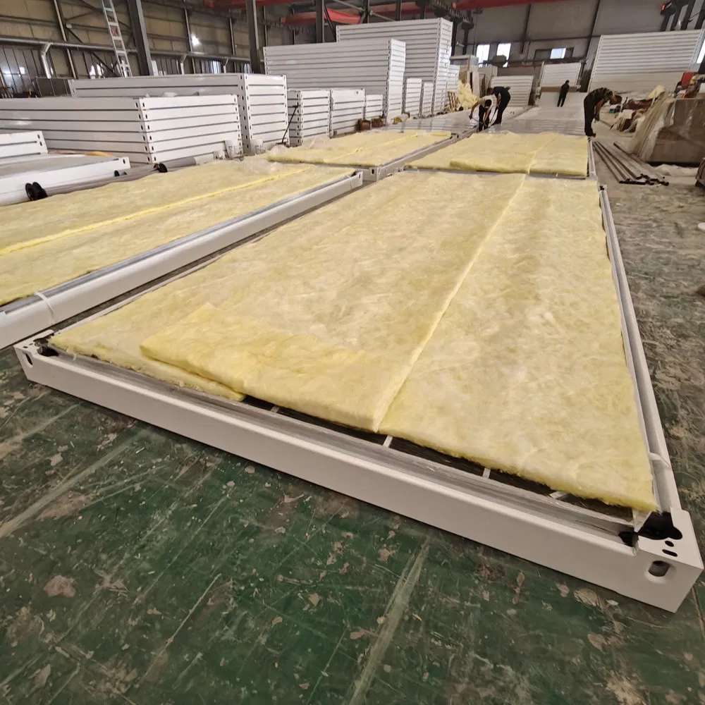 Short Construction Period Durable Detachable Prefab Container House for Emergency Shelters