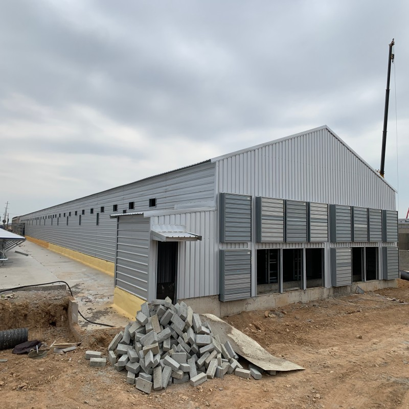 Insulated Steel Chicken House Designed for Ghana's Climate Corrosion-Proof and Long-Lasting