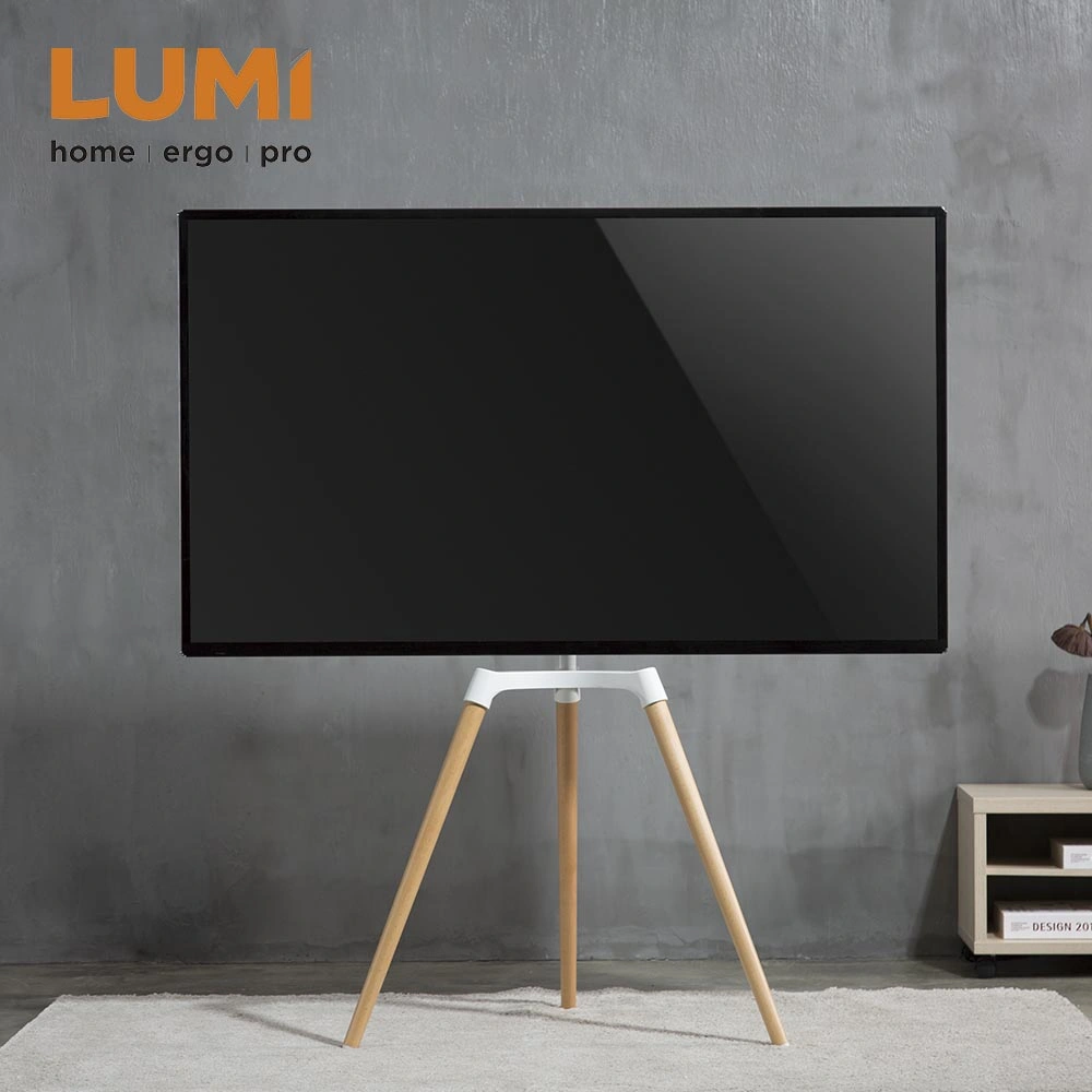 Classic Design Modern Style Home Living Room Furniture Pastel Easel Mobile Artistic Studio TV Floor Tripod Stand