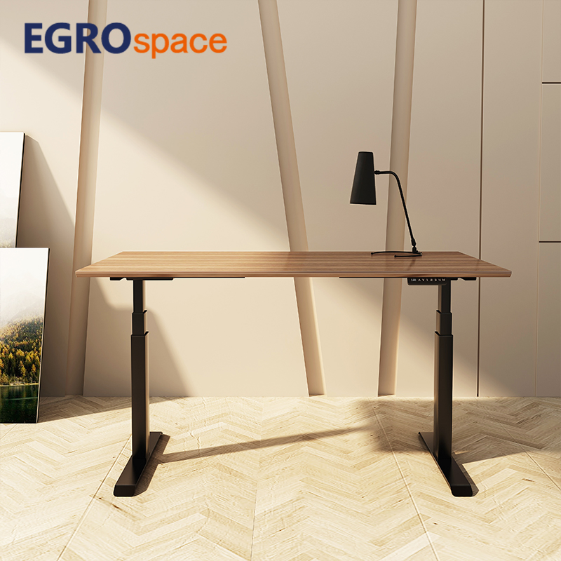 Egrospace Height Adjustable Standing Sit Stand Dual Motor Furniture Electric Automatic Table Ergonomics Office Desk