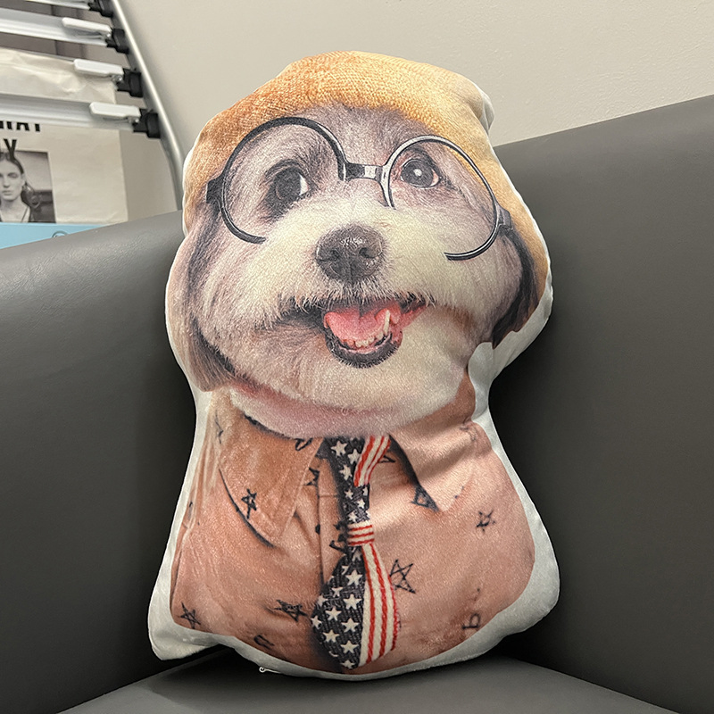 Personalized Pet Photo Pillow Cushion Custom Double Side Print Cute Gift Pillows