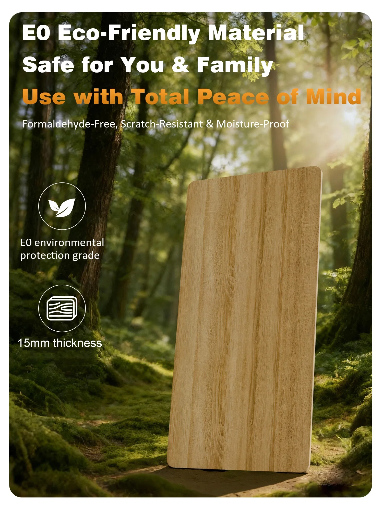 Sit Stand Desk View 4