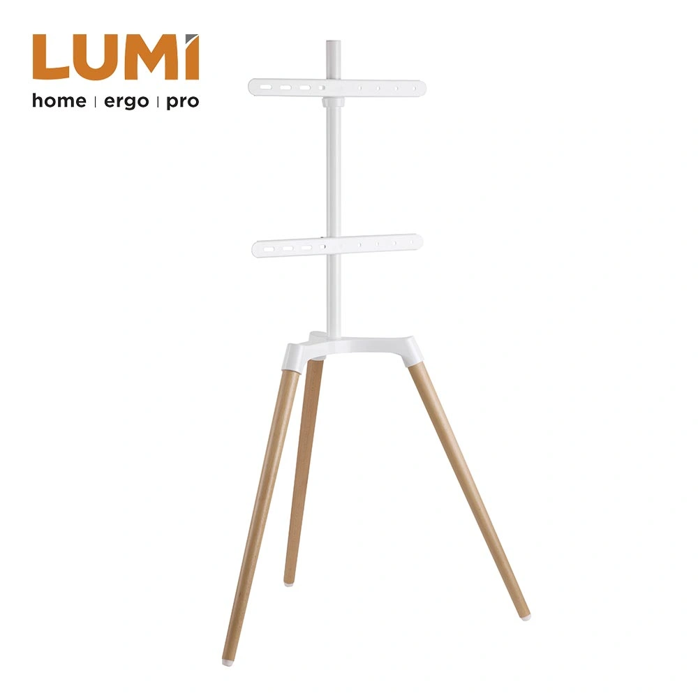 Classic Design Modern Style Home Living Room Furniture Pastel Easel Mobile Artistic Studio TV Floor Tripod Stand