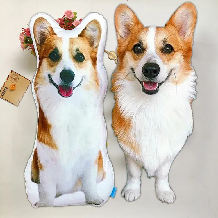 Custom Character Plush Pillow