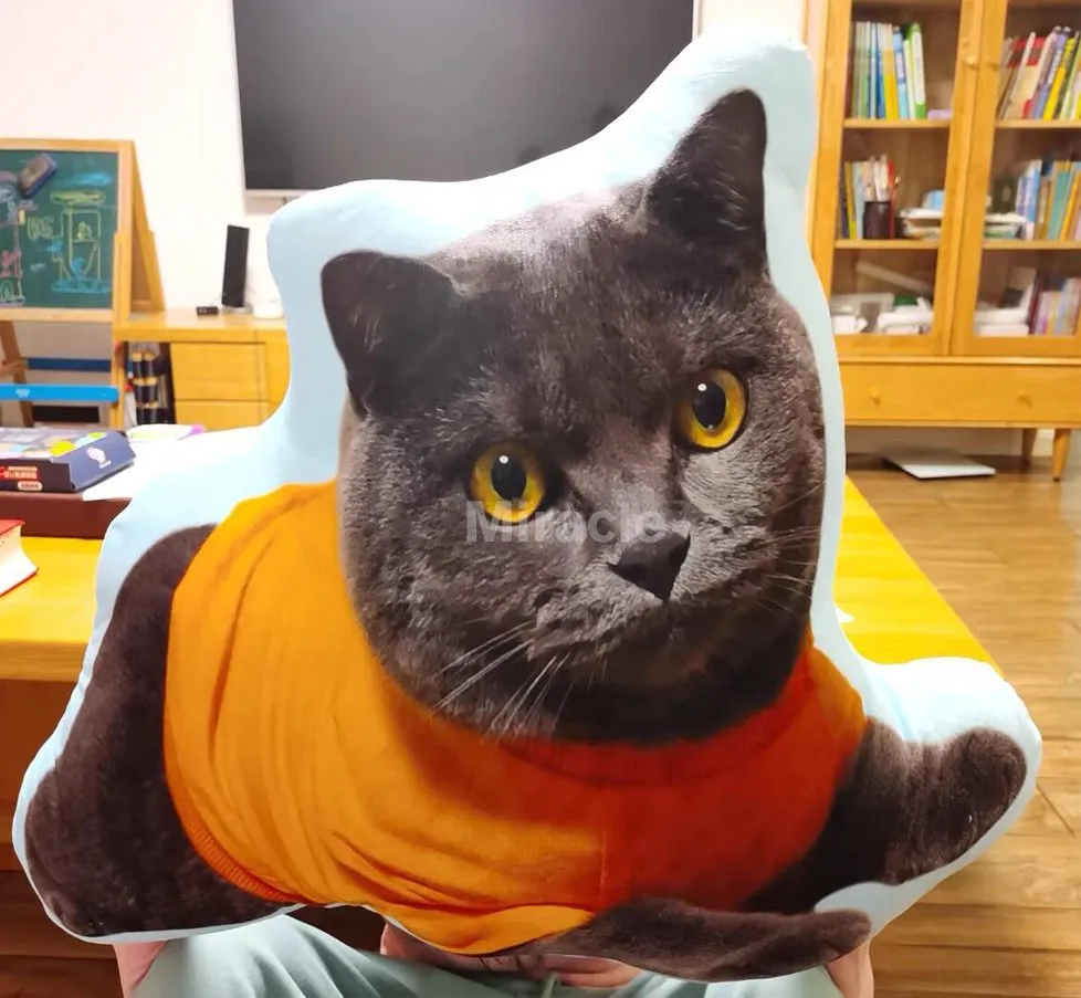 Custom Print Pillow 1