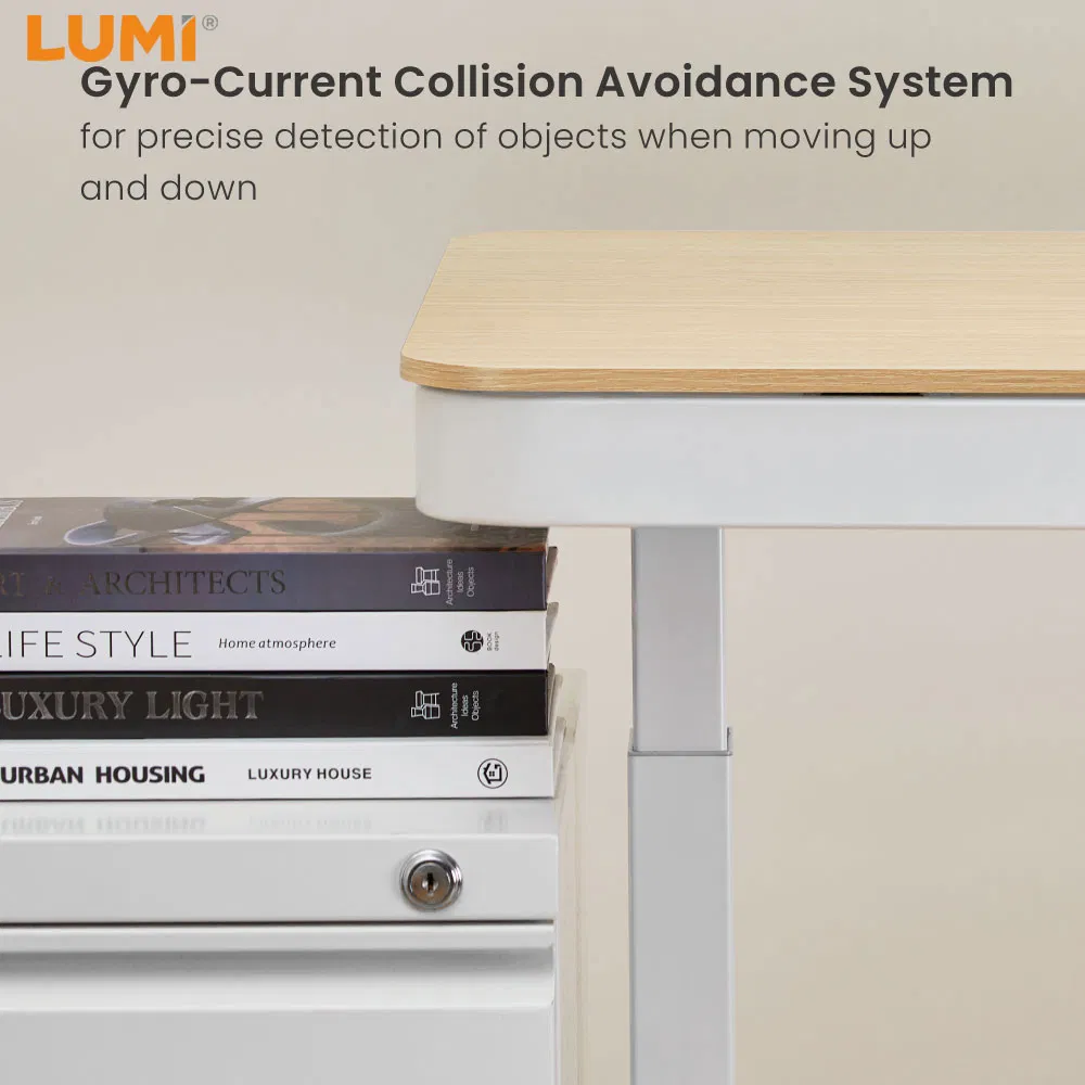 Smart Single Motor Electric Ergonomic Lifting Adjustable Height Gaming Sit Standing Desk with Drawer &amp; USB Ports Home Office Laptop Computer Up Down Raising