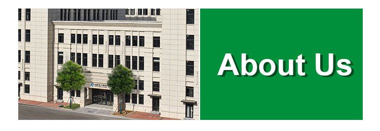 Company Overview