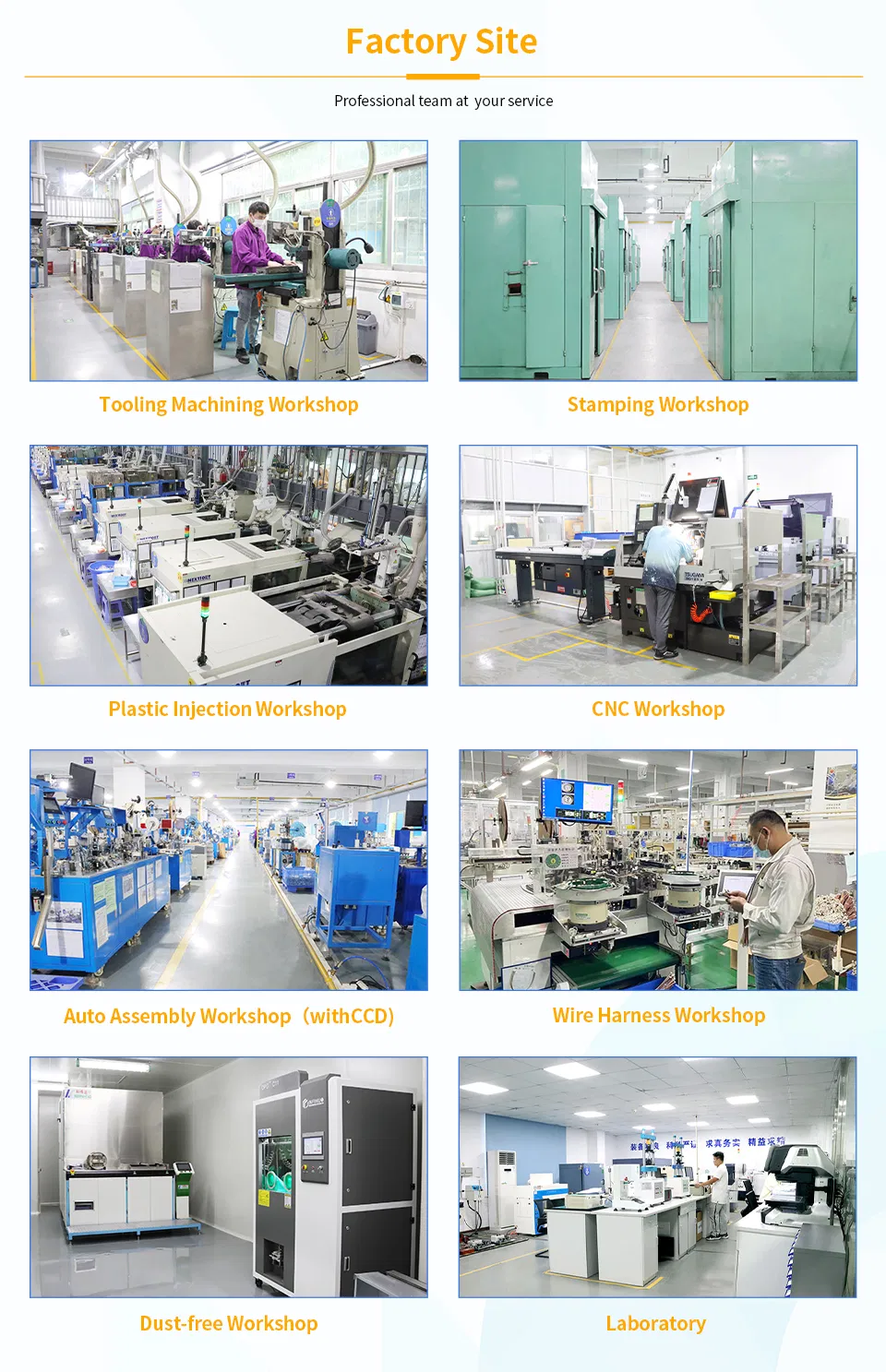 Production Process