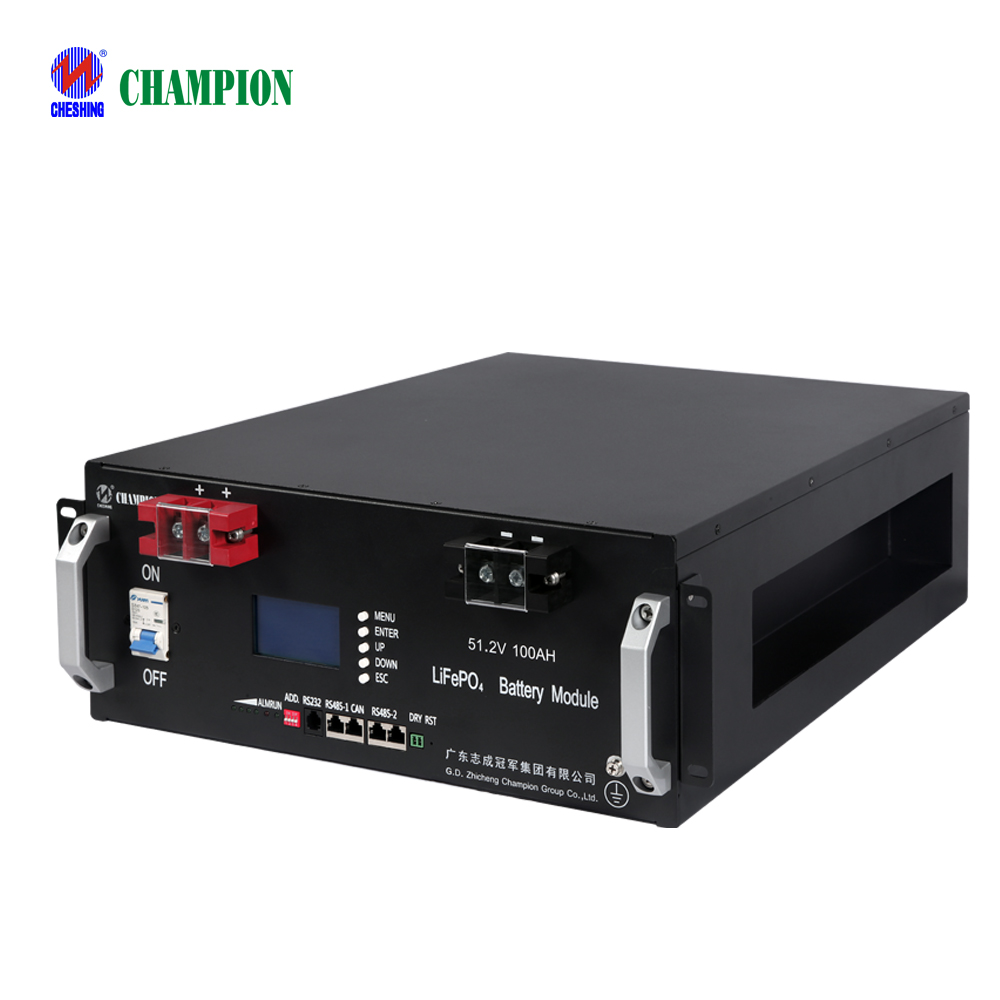 Champion 5kwh 10kwh 51.2v 100ah Rack Mounted ESS Solution Lifepo4 Pack Lithium Ion Backup Solar Energy Storage Lfp Battery