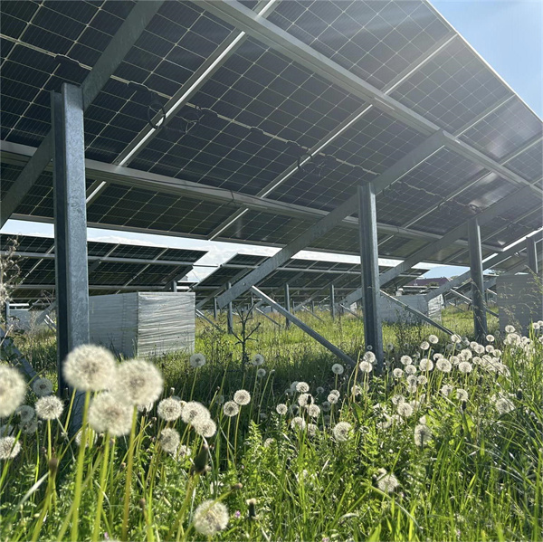 Single Axis One Panel Solar Tracking System PV Solar Tracker Bracket Horizontal Single Axis Intelligent Solar Tracker System