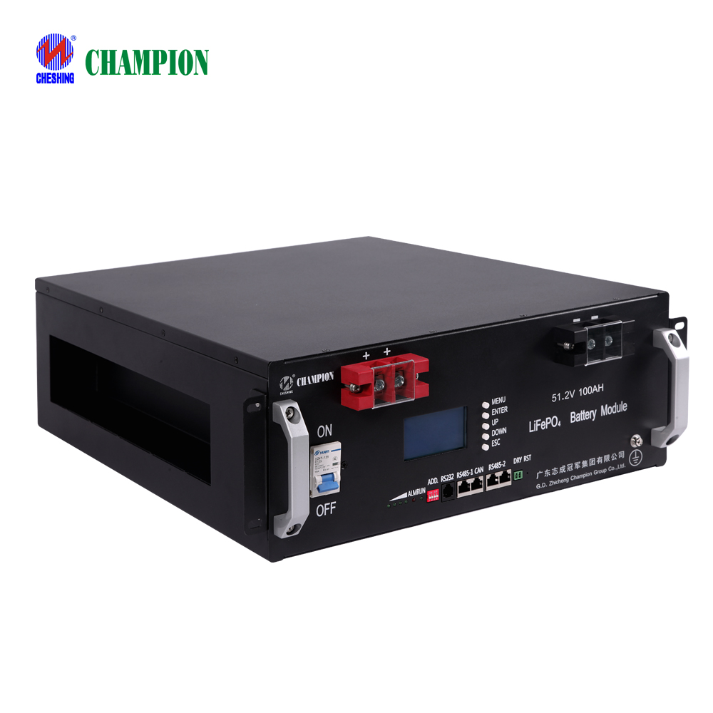 Champion 5kwh 10kwh 51.2v 100ah Rack Mounted ESS Solution Lifepo4 Pack Lithium Ion Backup Solar Energy Storage Lfp Battery