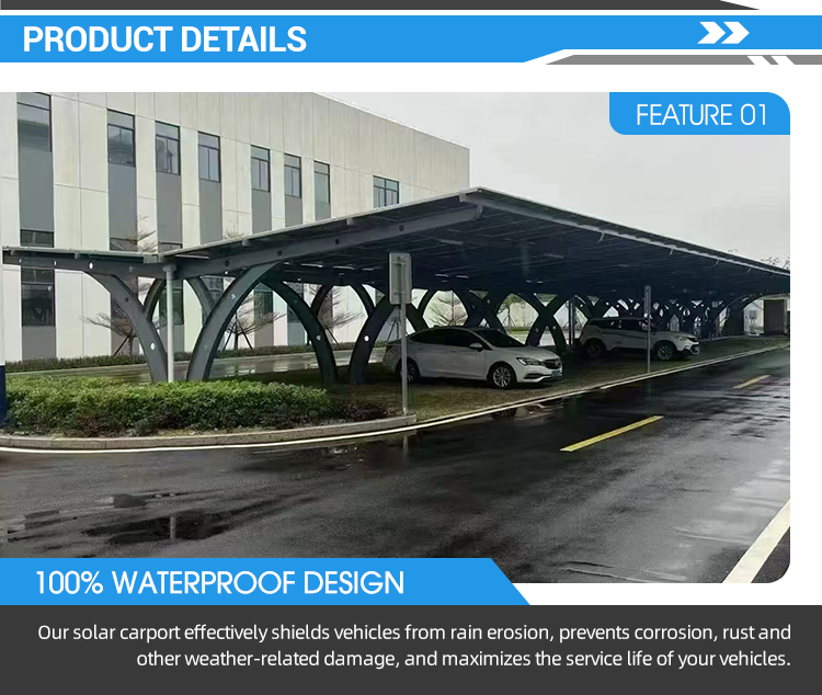 Real Project Image 1