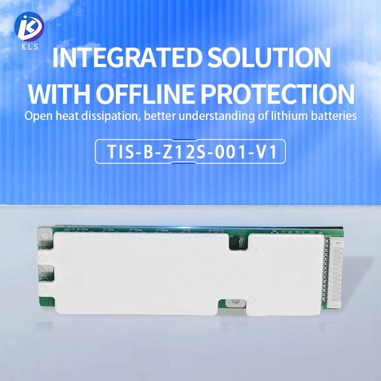BMS Board Interface