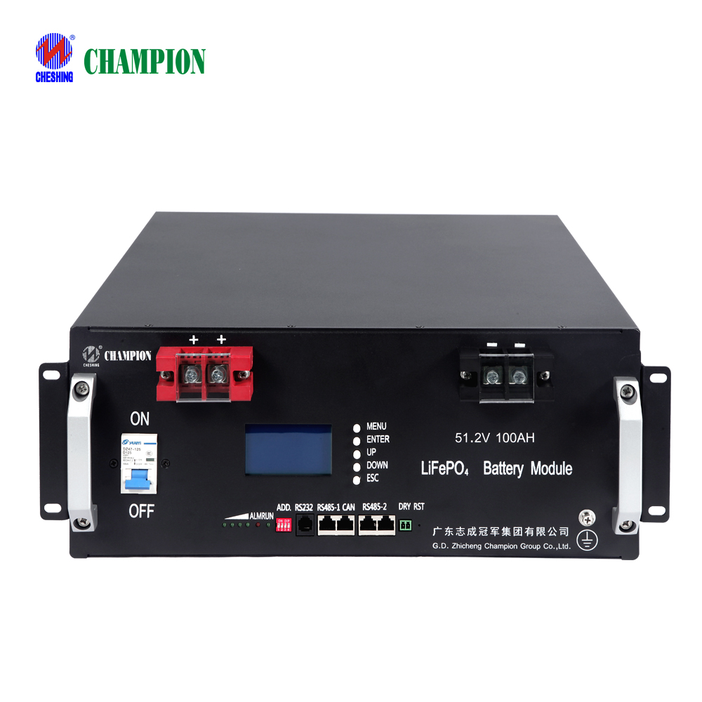 Champion 5kwh 10kwh 51.2v 100ah Rack Mounted ESS Solution Lifepo4 Pack Lithium Ion Backup Solar Energy Storage Lfp Battery
