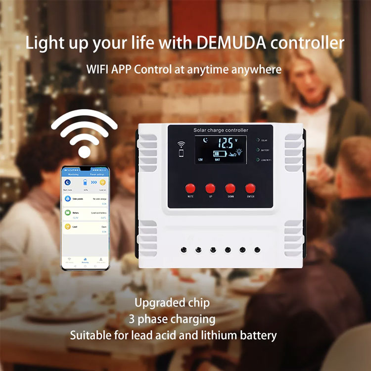 PWM Solar Charge Controller 1
