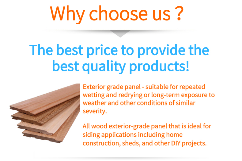 Natural Cedar Timber Wall Cladding Wood Exterior Tongue and Groove Wall Panels Wall Cladding Exterior Outdoor