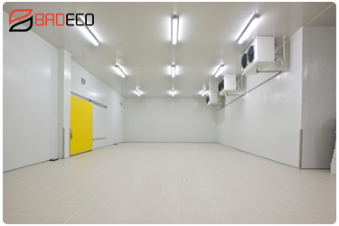 Cold Storage Systems