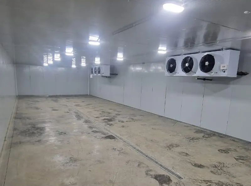Cold Room Showcase 2