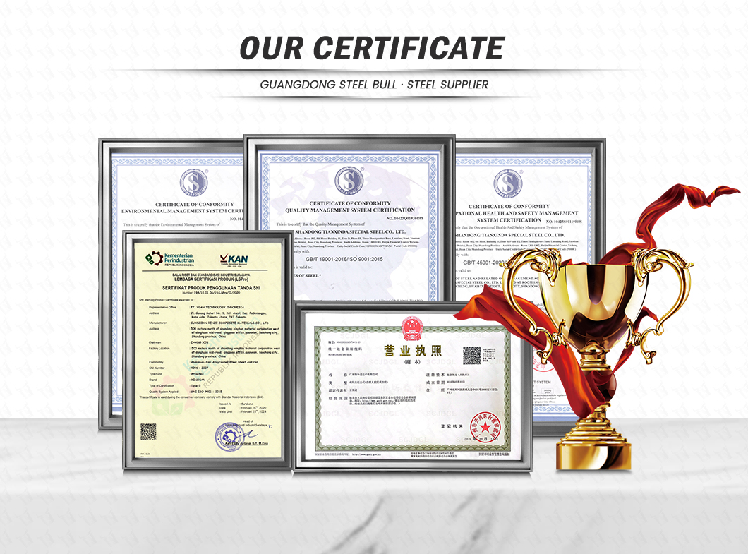 Application Show 2