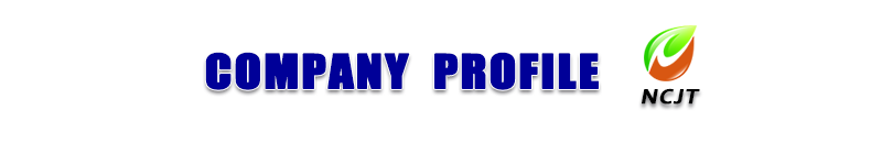 Recommended Products Banner