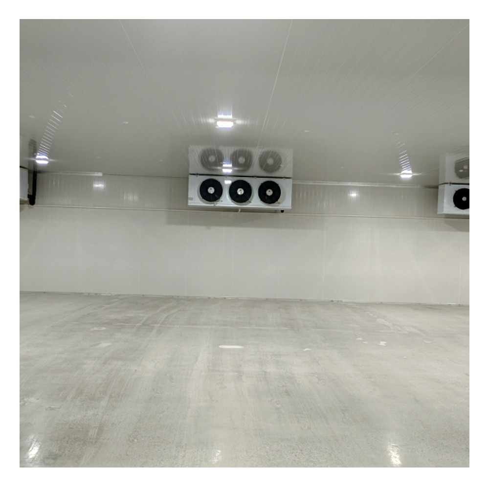 Cold Chain Logistics PIR/PU Insulated Panel Cold Storage Multi-temperature Zone Cold Storage Project