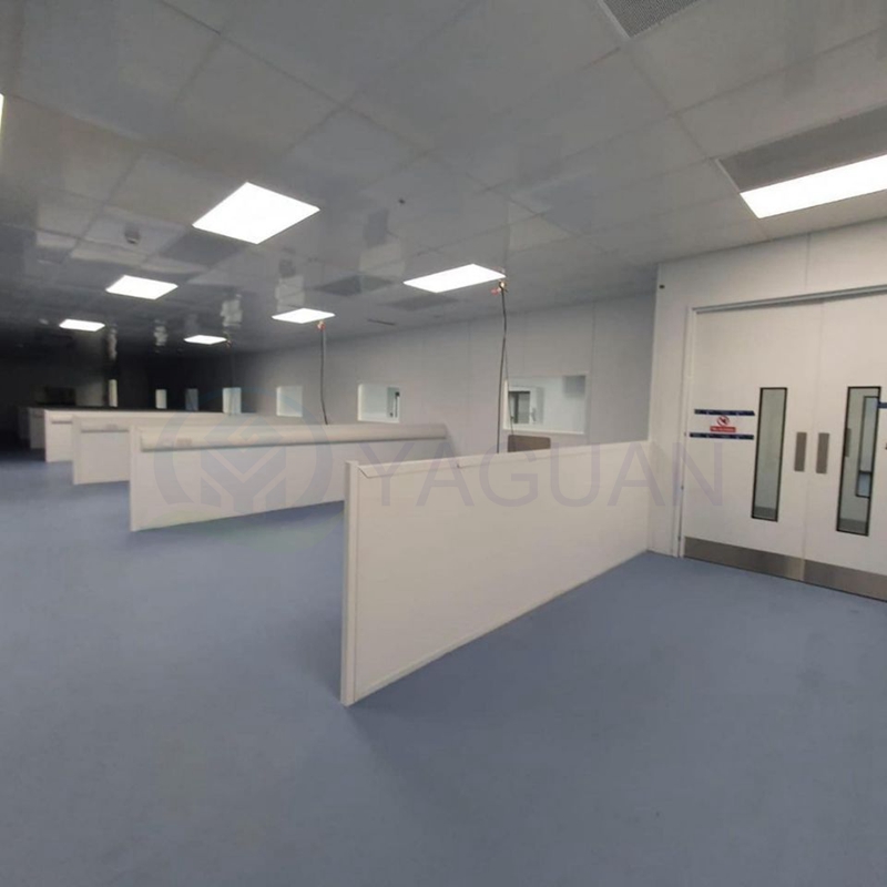 Clean Room Wall Panel and Ceiling Panel Fireproof Class A1 High-performance Panels Laboratory and Research Clean Room