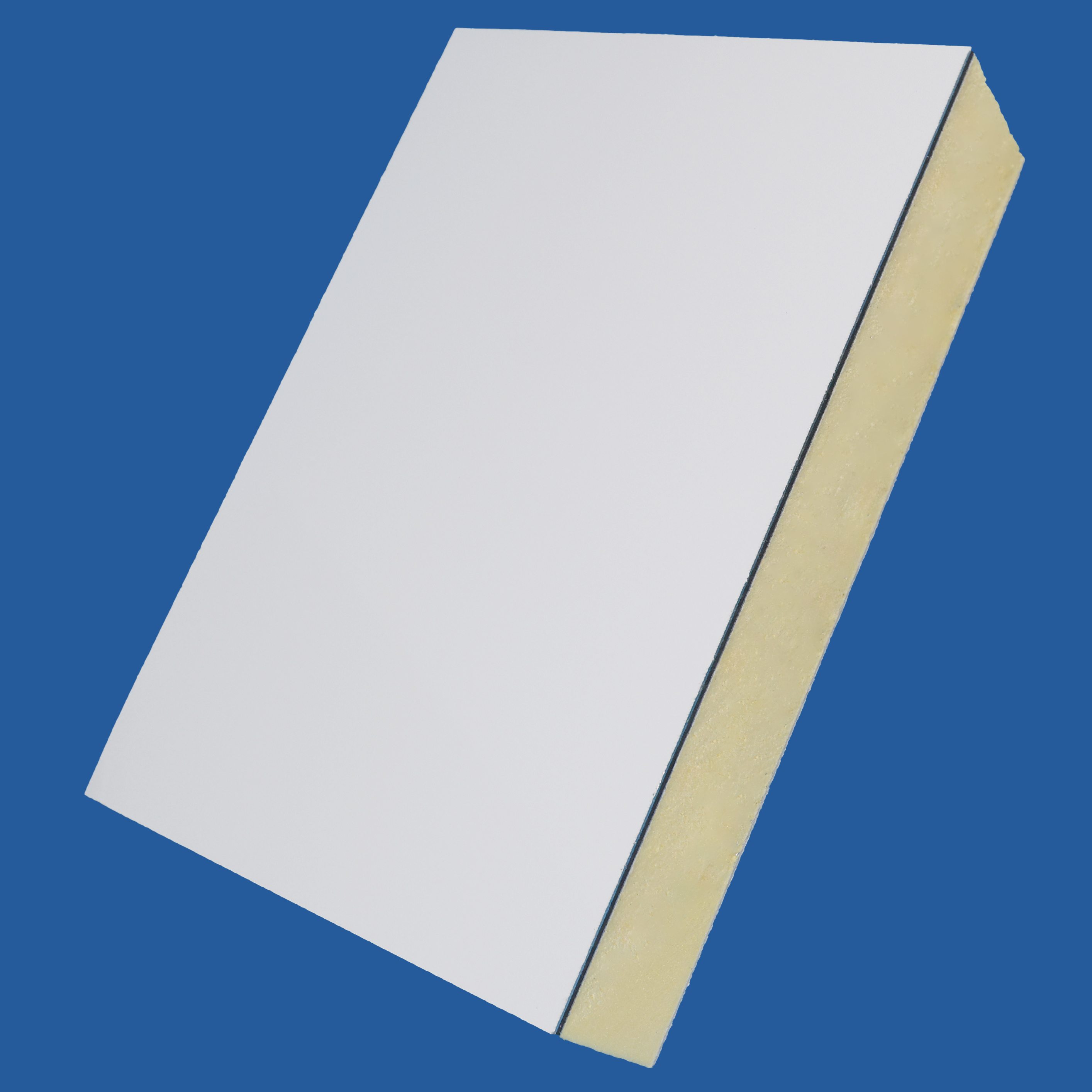 PUC Sandwich Panel for Cold Storage , Lightweight Thermoplastic Face with PU Foam Core, Eco-Friendly &amp; Easy to Clean Surface