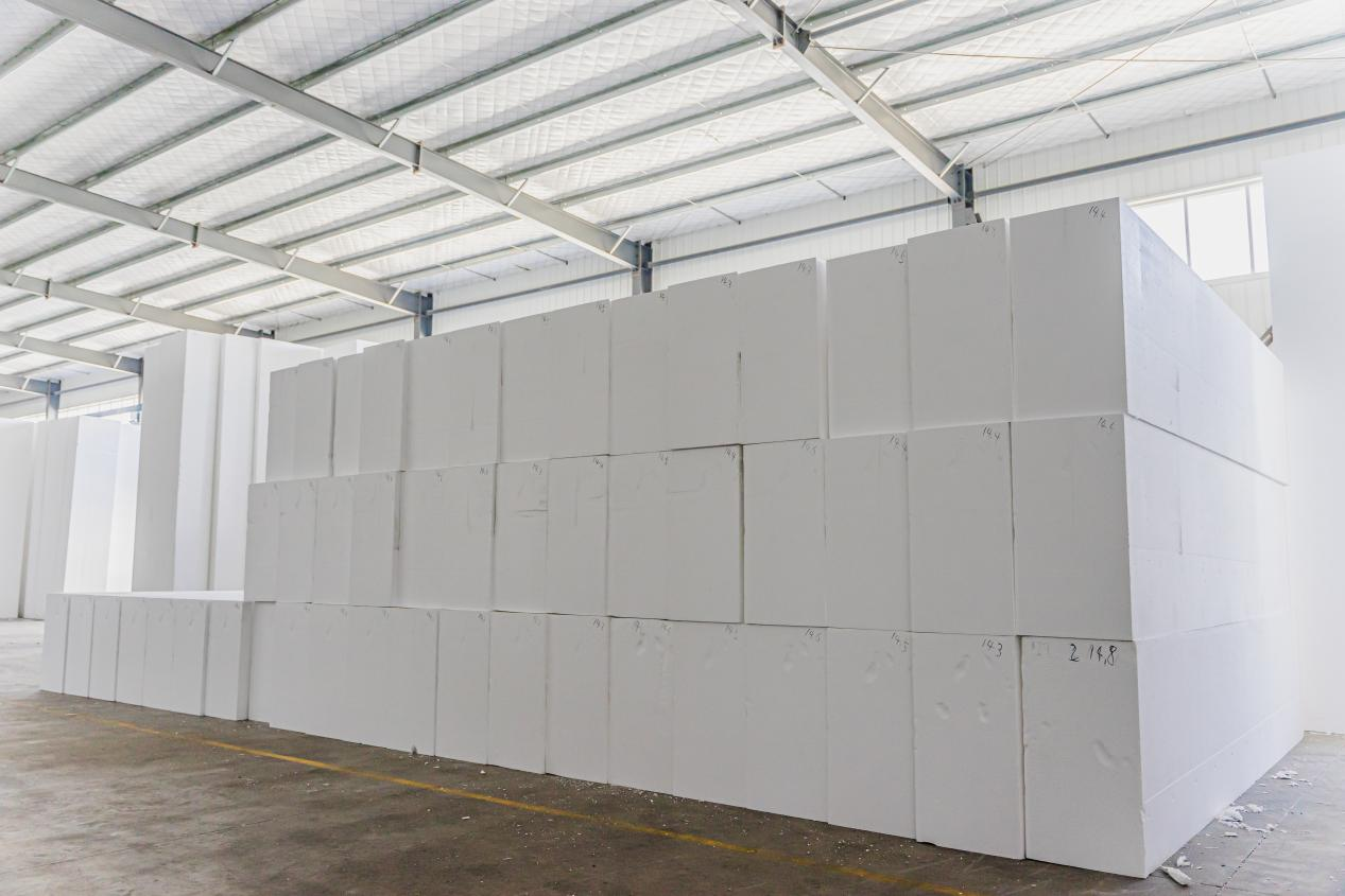 Molded EPS Production