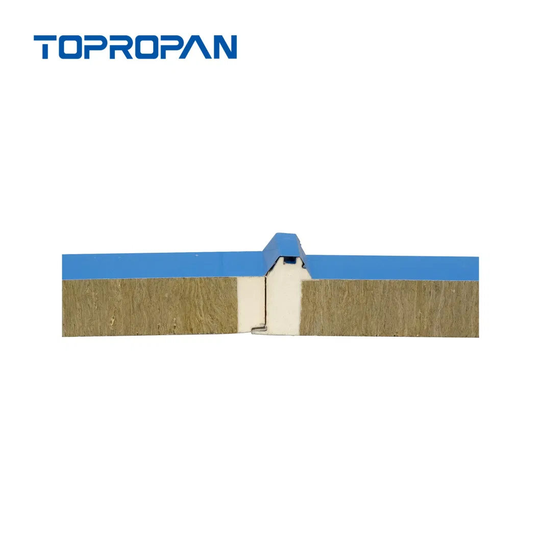 Versatile Insulated Panel for Efficient Roof and Wall Applications