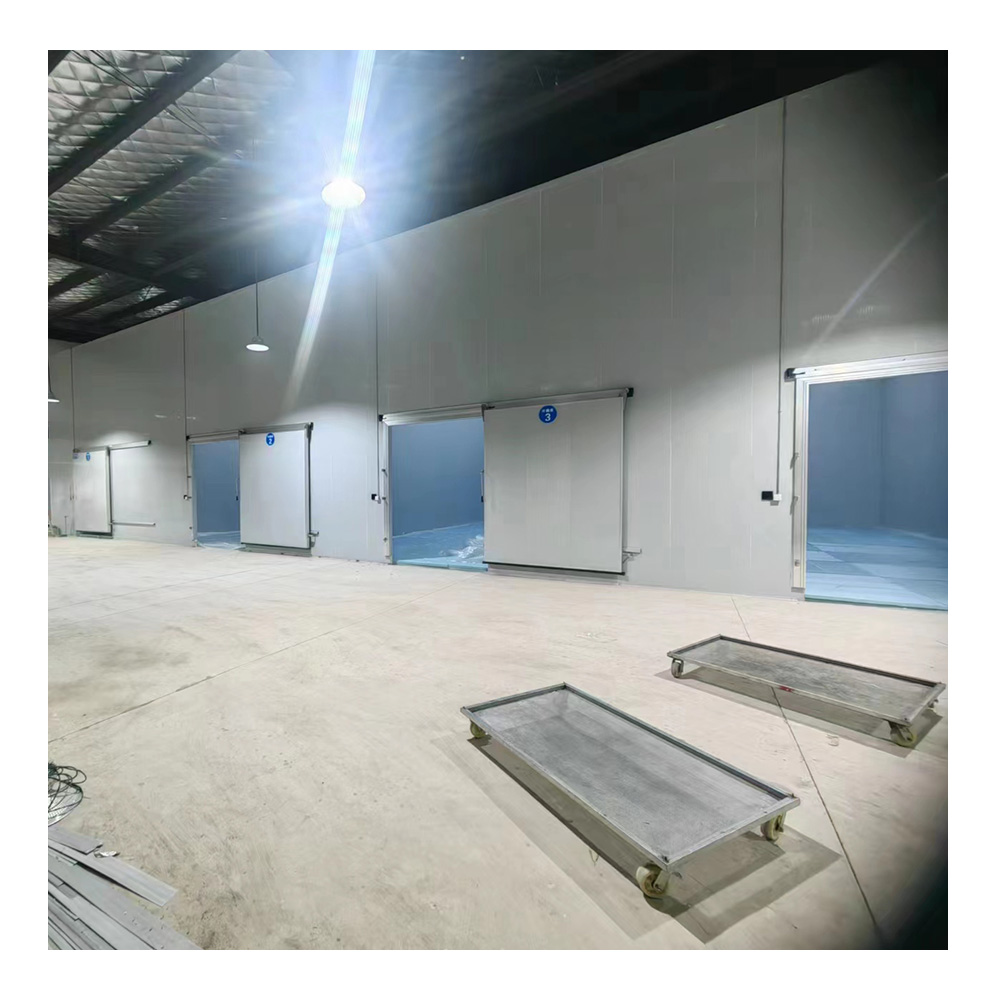 Cold Chain Logistics PIR/PU Insulated Panel Cold Storage Multi-temperature Zone Cold Storage Project