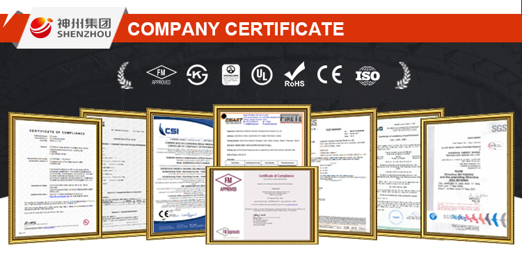 Company Overview 5
