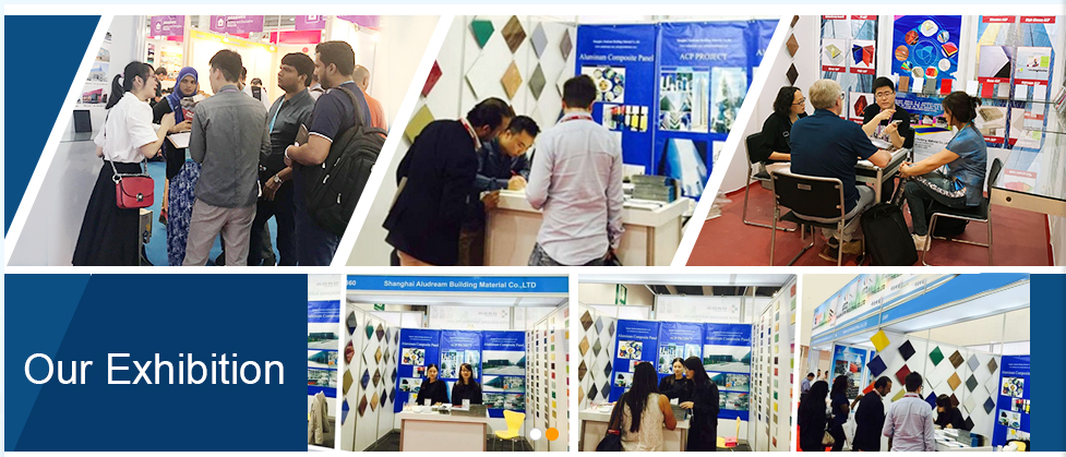 Exhibition View