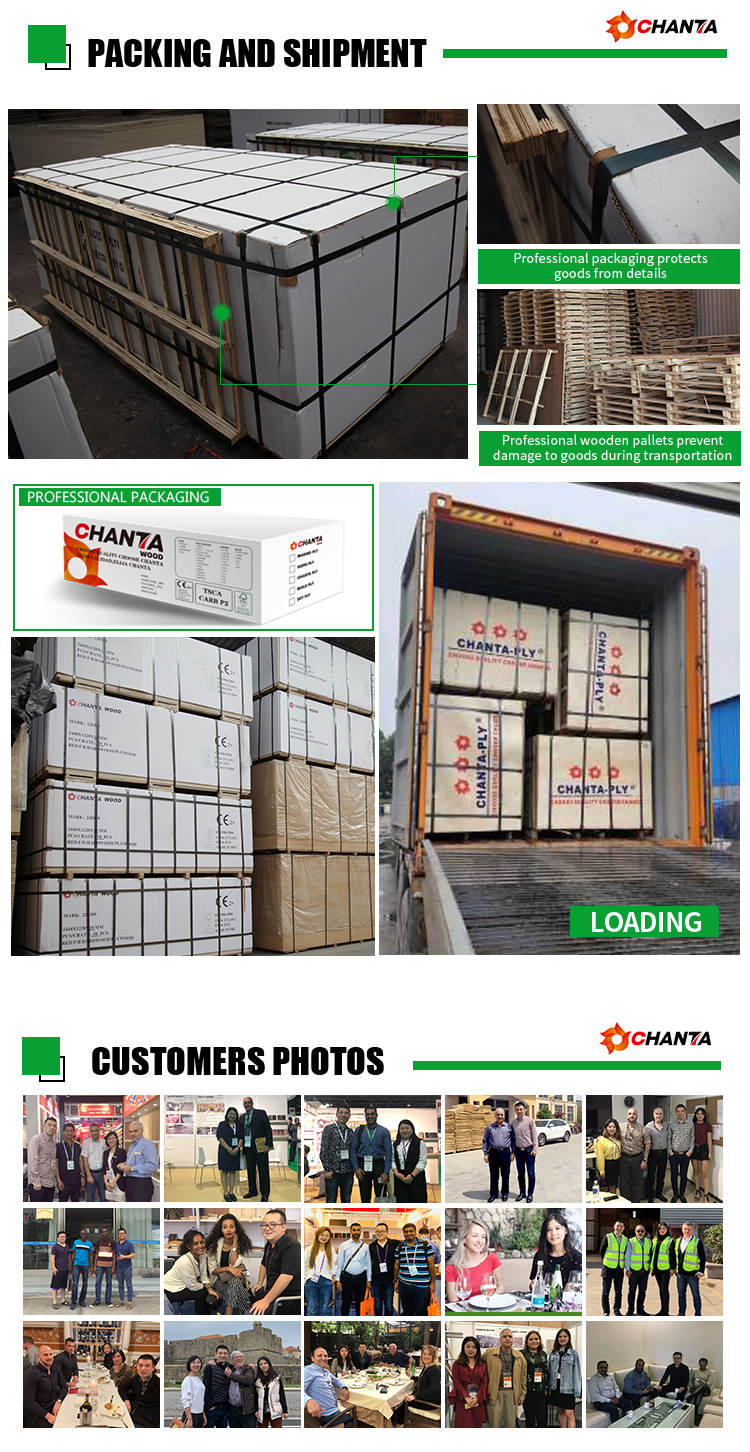 OSB Shipping and Logistics